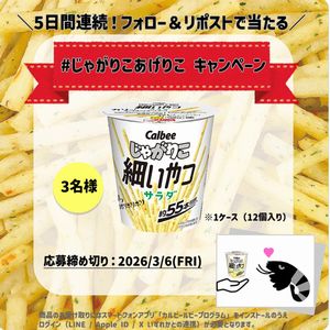 じゃがりこ細いやつ サラダ 1ケース - 無料懸賞 プレゼント