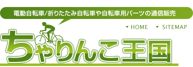 B-RG61AB 26インチ 実用車 レギュラー/ピュアブラック (Panasonic