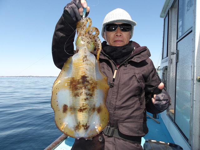 関東で釣れたアオリイカの最新釣果、釣り情報【2026年3月】