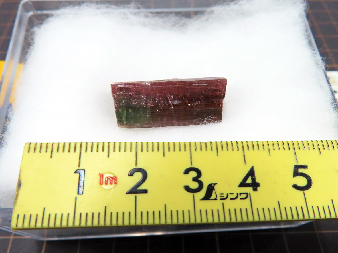 令和7年度「地質観察会～巨晶花崗岩“ペグマタイト”のひみつ～」(※参加