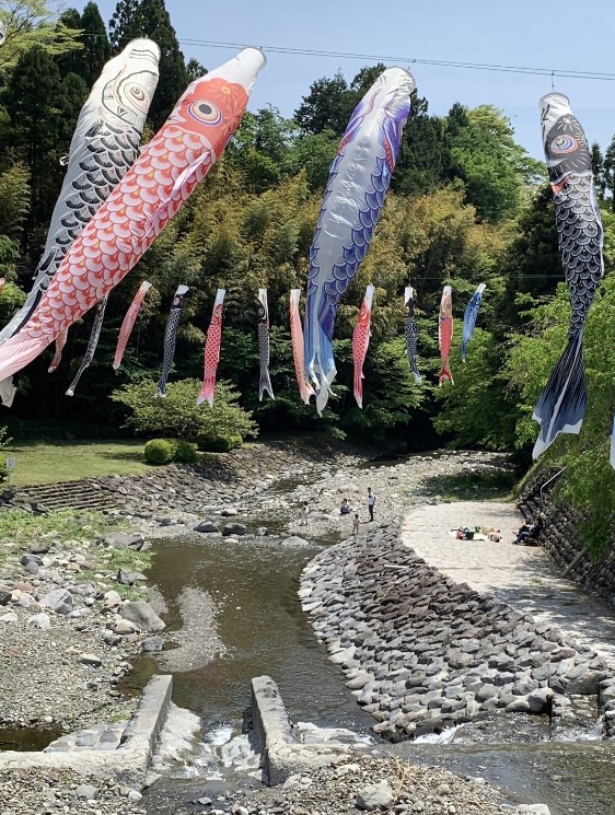 令和7年5月5日(月曜日)入山親水公園ふれあいまつり／静岡市公式