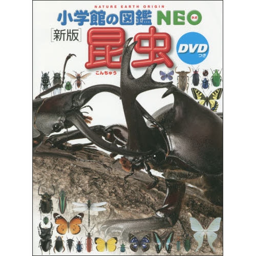 小学館の図鑑NEO〔新版〕昆虫 DVDつき／小池啓一、小野展嗣、町田