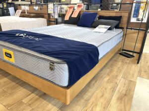 リニューアル改装に向け「ご迷惑おおかけして・・セール」 | 種田家具