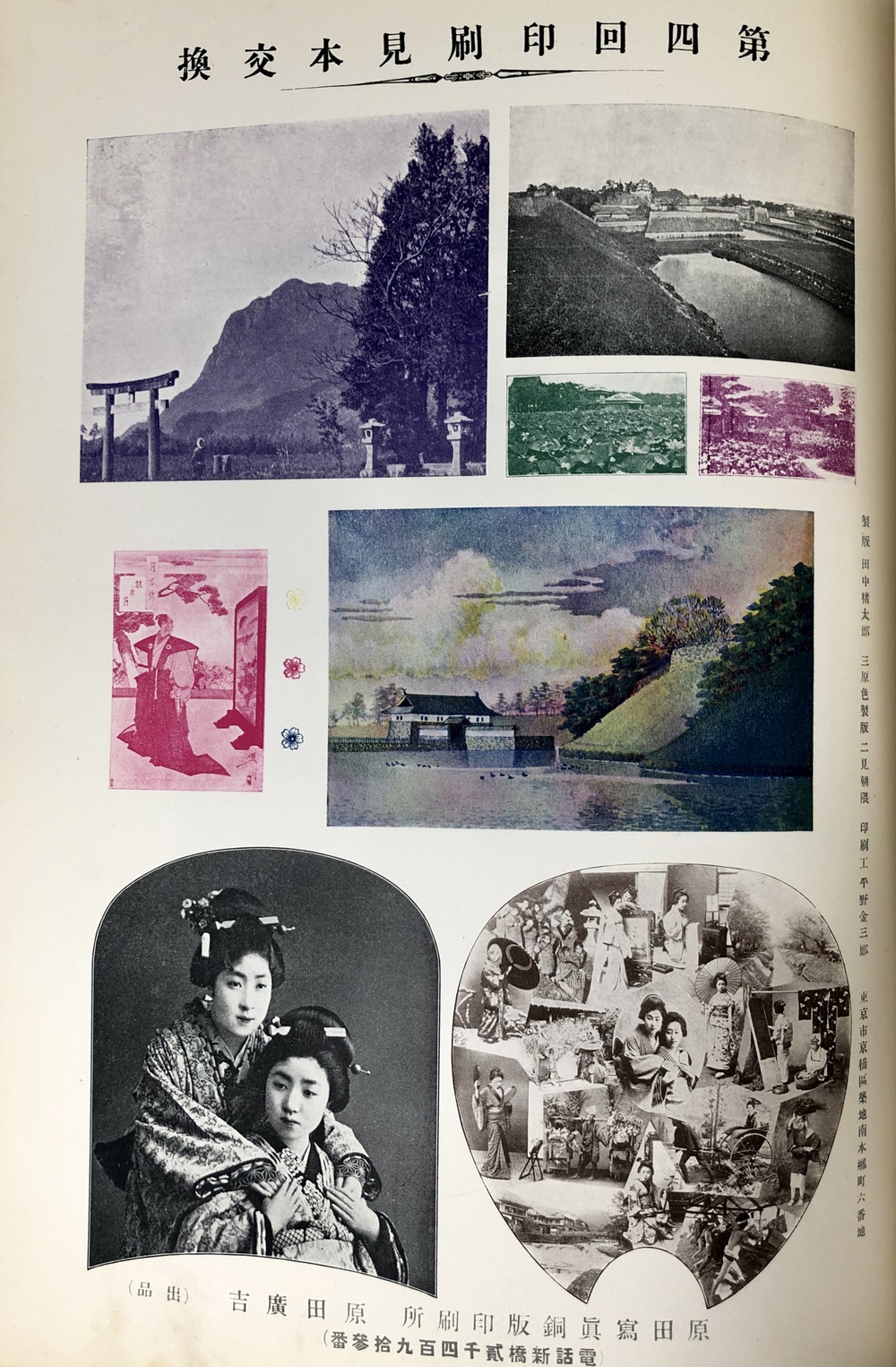 第4回）『花ノ栞』 - 青羽古書店 AOBANE Antiquarian Bookshop - 洋書