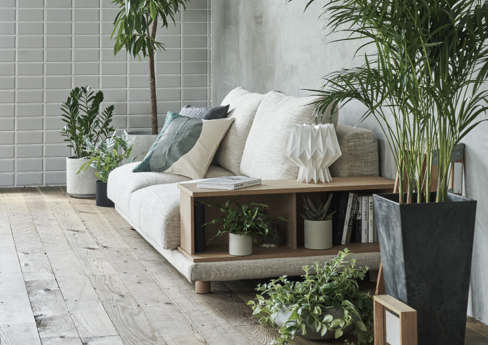 2020年秋の新作ソファ - ピックアップアイテム - ACTUS