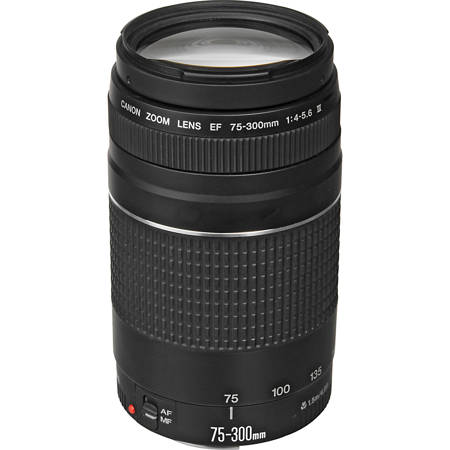 Canon EF 75-300mm f/4-5.6 III Lens 6473A003
