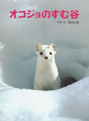 オコジョのすむ谷 - あかね書房