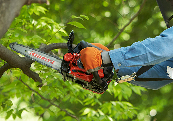 アグリズおすすめの共立チェンソーCS251T！