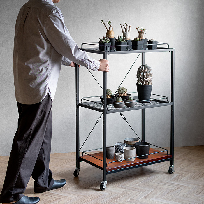 ヴィンテージ調ボタニカルラック BILLS(ビルズ) | 家具・インテリア