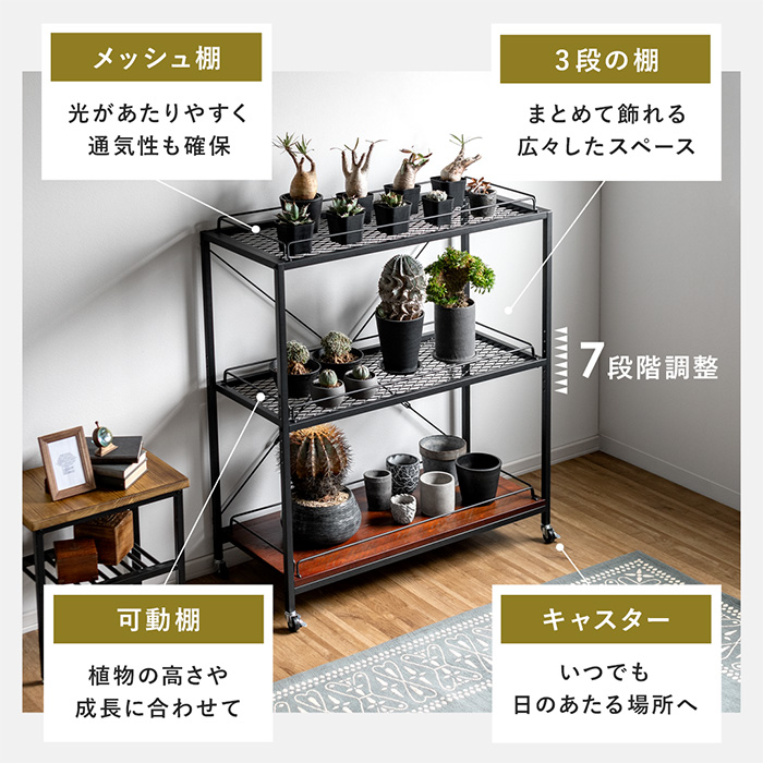 ヴィンテージ調ボタニカルラック BILLS(ビルズ)125cm幅 | 家具