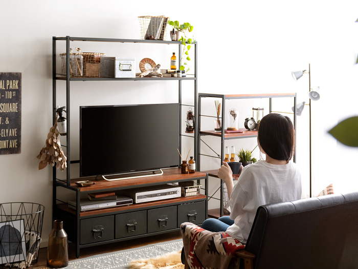 ヴィンテージウッド収納ラック付きTVボード BILLS(ビルズ) 120cm幅