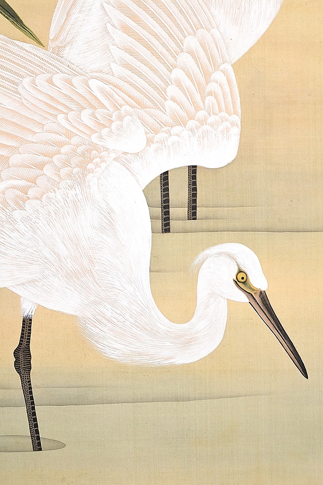 作品紹介 | 上田耕冲 白鷺図