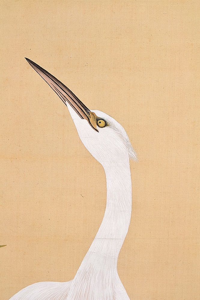 作品紹介 | 上田耕冲 白鷺図