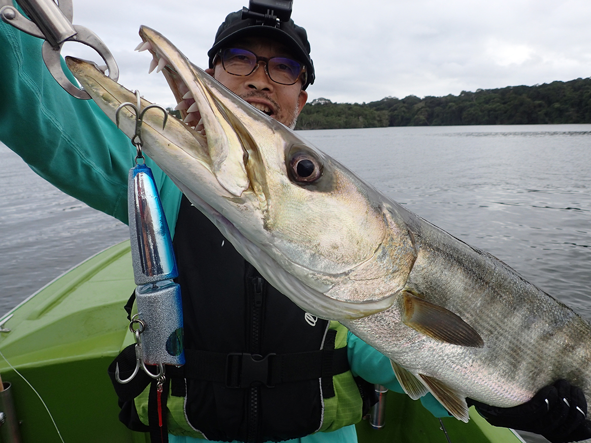 Cauda | Atoll アトール