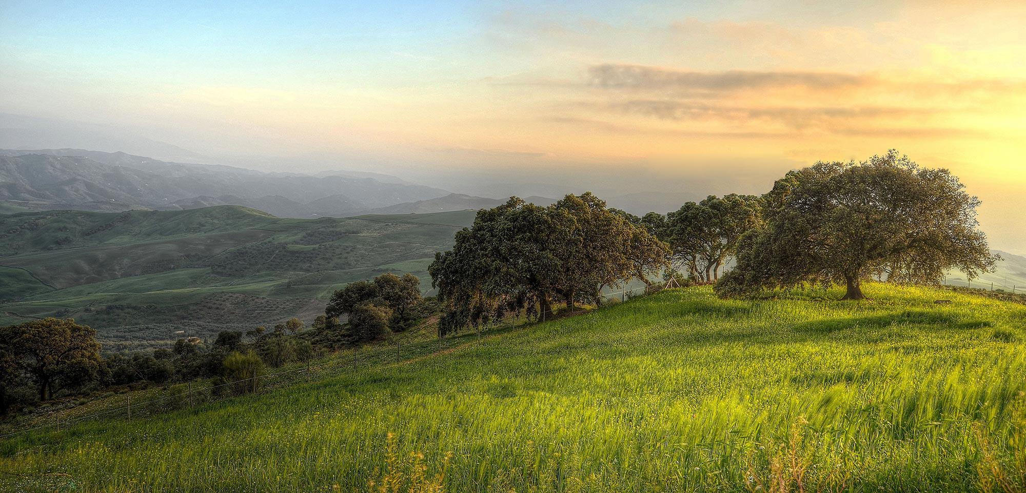 アルフレックス ジャパン | arflex（アルフレックス ジャパン）