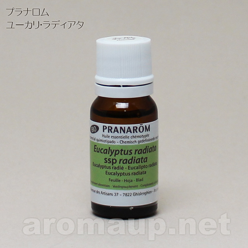 プラナロム / ユーカリ・ラディアタ ：：：アロマアップ：：：
