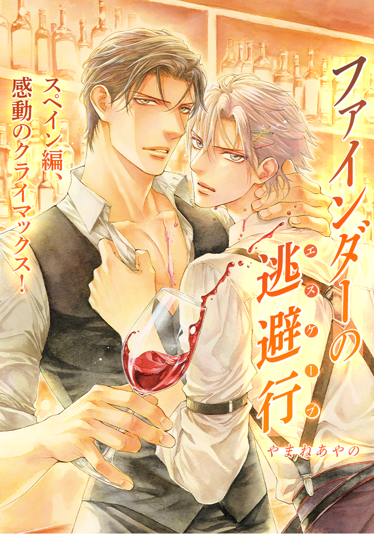 ファインダーシリーズ｜ビーボーイWEB