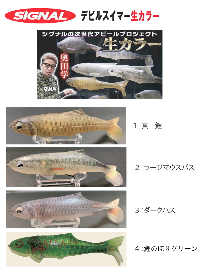 シグナル デビルスイマー6インチ 生カラー