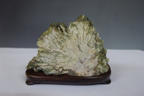 菊花石 (下仁田産) 【 水石 22 ― 04 】 - 小品盆栽専門店 湘風園