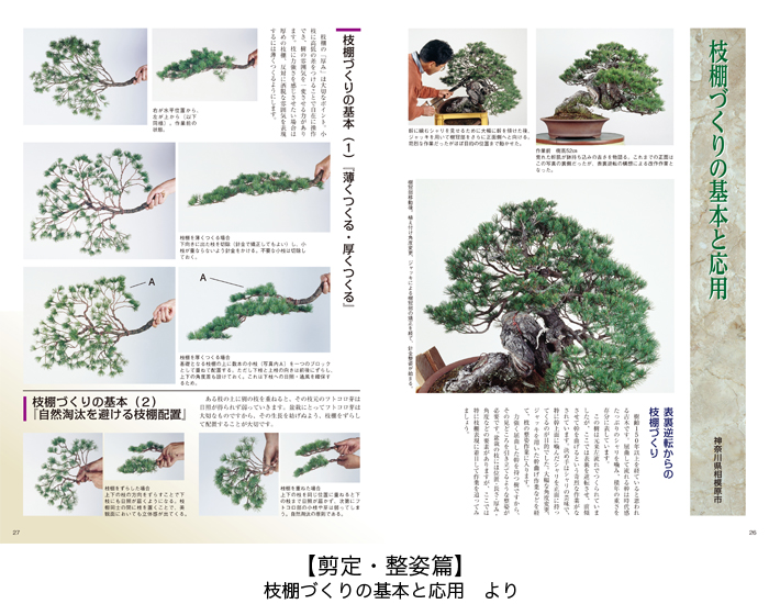 盆栽メジャー樹種 黒松・五葉松・真柏をとことん知る3冊セット | 盆栽