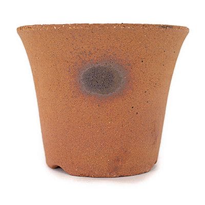 楽風 富貴蘭鉢【3.5号】【盆栽鉢】【信楽焼】の盆栽鉢を販売｜盆栽妙