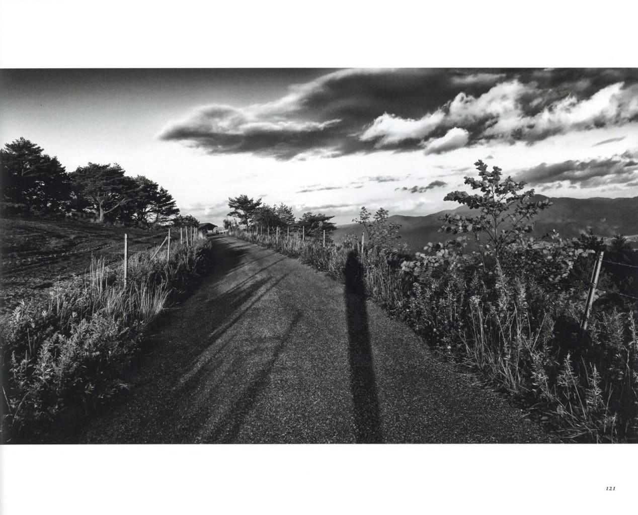 遠野2014 / 森山大道 | 小宮山書店 KOMIYAMA TOKYO | 神保町 古書