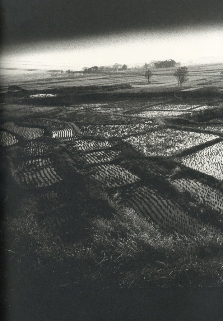 鎌鼬 完全復刻版（海外版） / 写真：細江英公 舞踏：土方巽 序文：瀧口