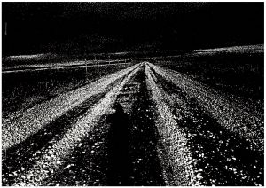 MORIYAMA Daido EXHIBITION I.RETROSPECTIVE 1965-2005 Ⅱ.HAWAII①