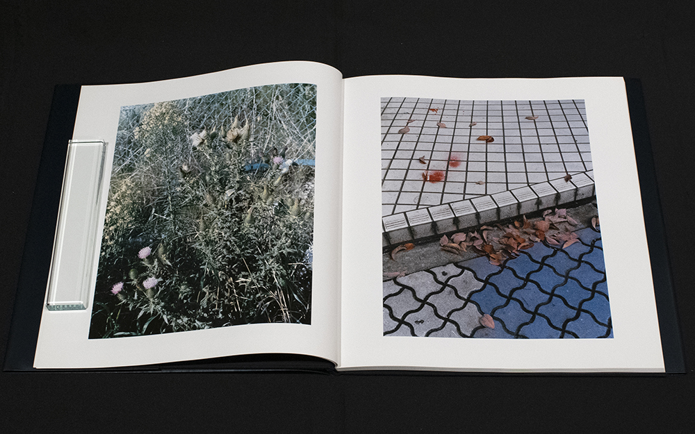 MAP / 佐内正史 | 小宮山書店 KOMIYAMA TOKYO | 神保町 古書・美術作品