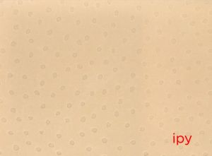 e hagaki / Author: Emi Anrakuji | 小宮山書店 KOMIYAMA TOKYO