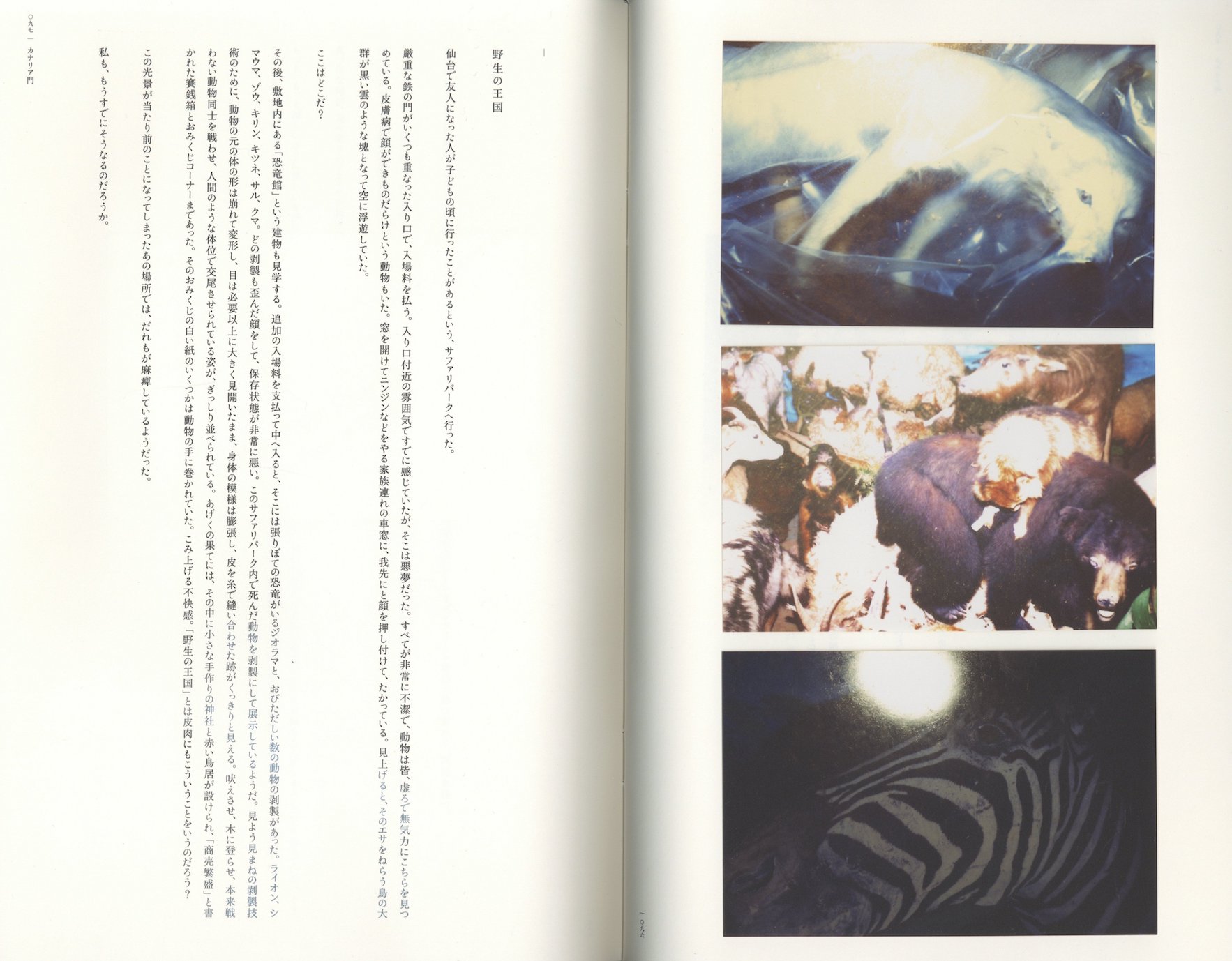 カナリア門 / 志賀理江子 | 小宮山書店 KOMIYAMA TOKYO | 神保町 古書