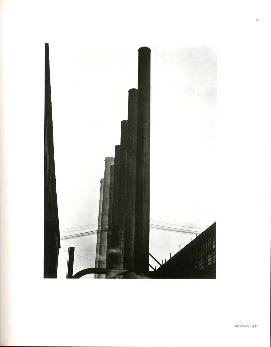 Forms of Passion Passion of Forms / Edward Weston | 小宮山書店