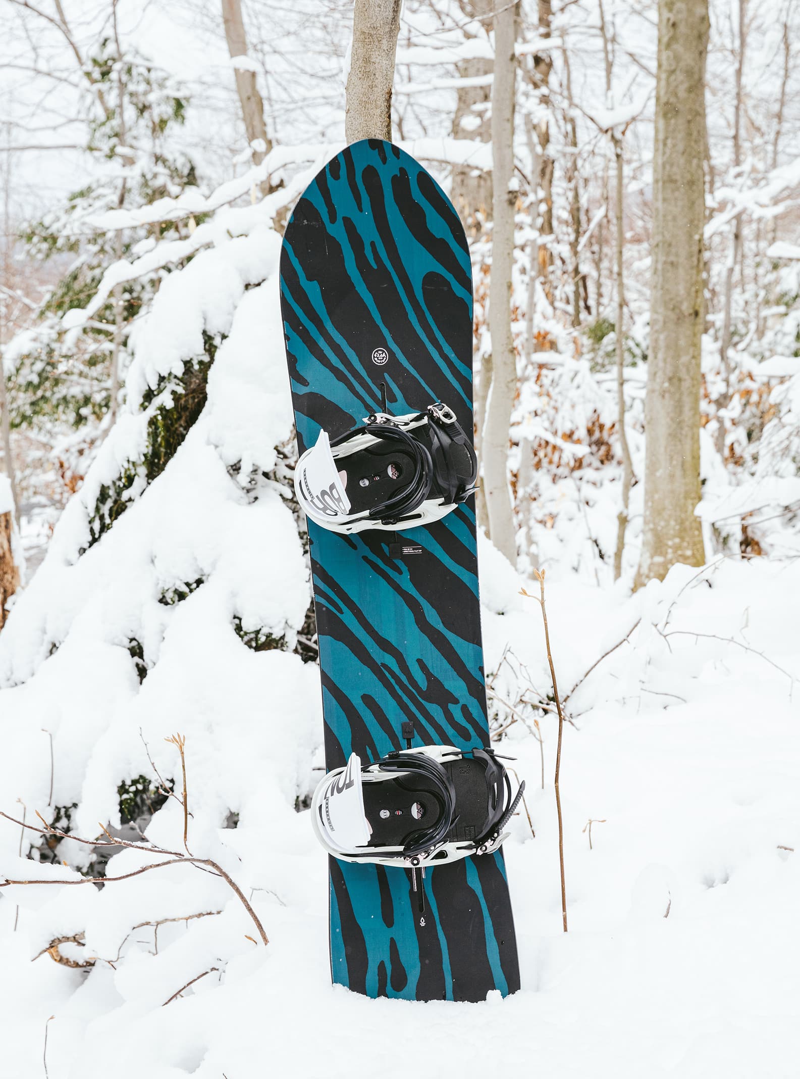 Men's Burton Fish 3D Directional Flat Top Snowboard | Burton.com
