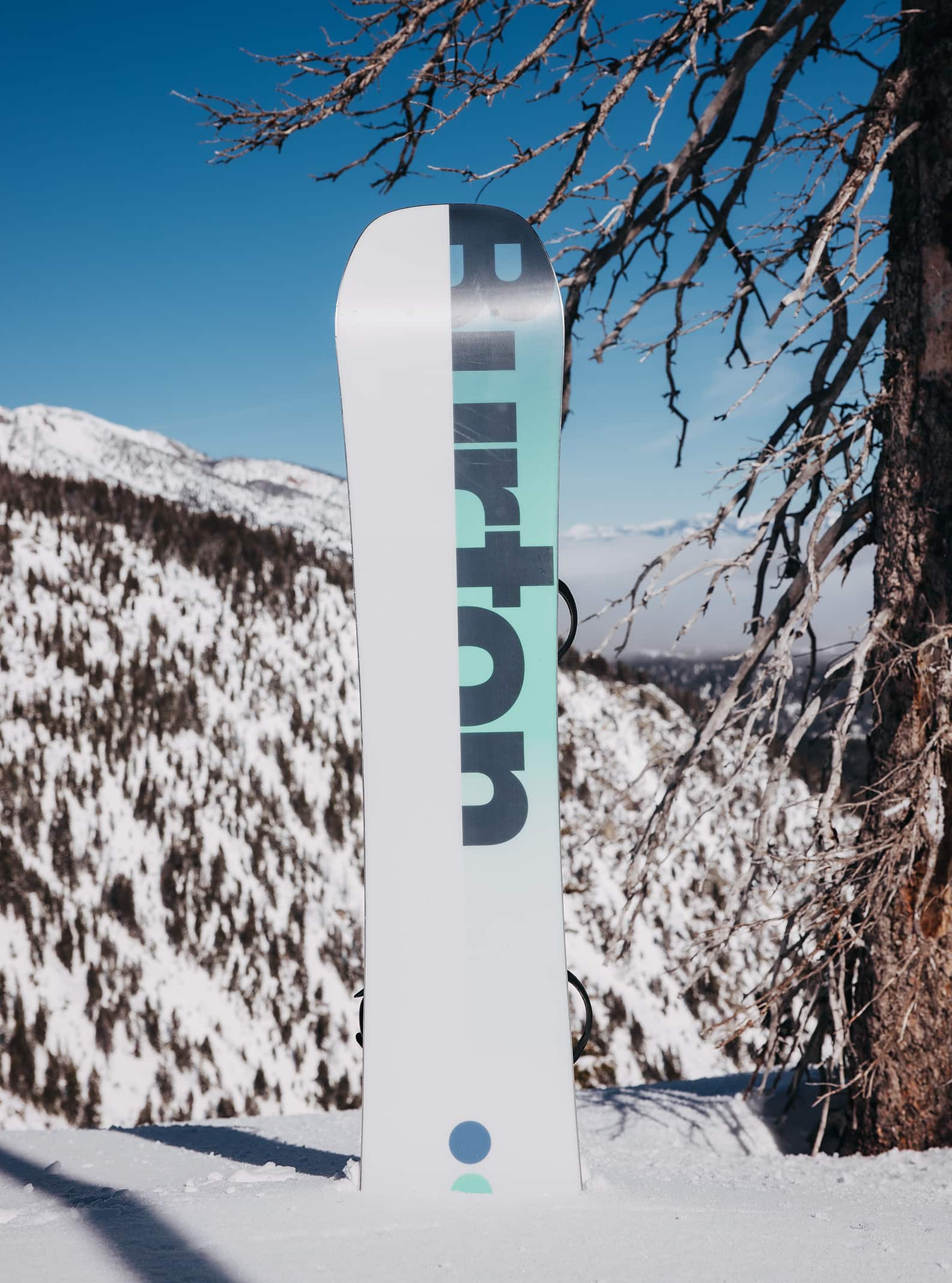 Men's Burton Custom Camber Snowboard | All Mountain | Burton.com
