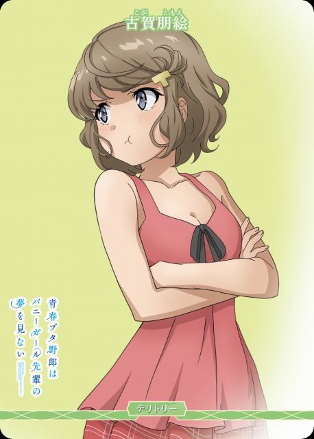 BDB】青春ブタ野郎はバニーガール先輩の夢を見ない / 古賀朋絵(両面