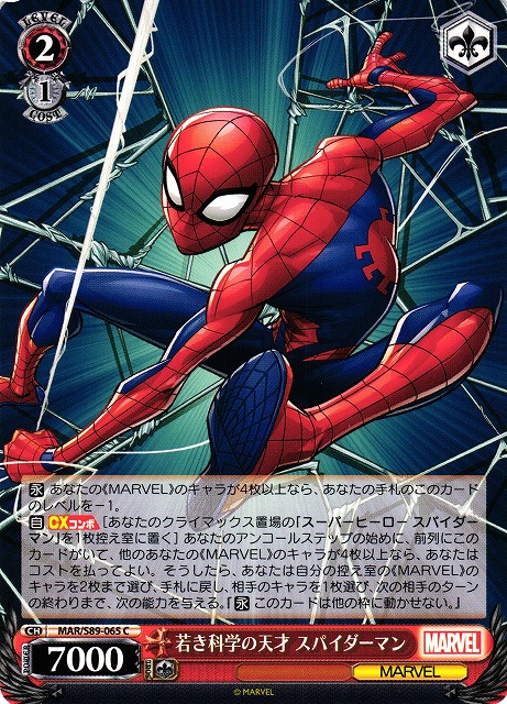 WS】若き科学の天才 スパイダーマン【C】MAR/S89-065ヴァイス