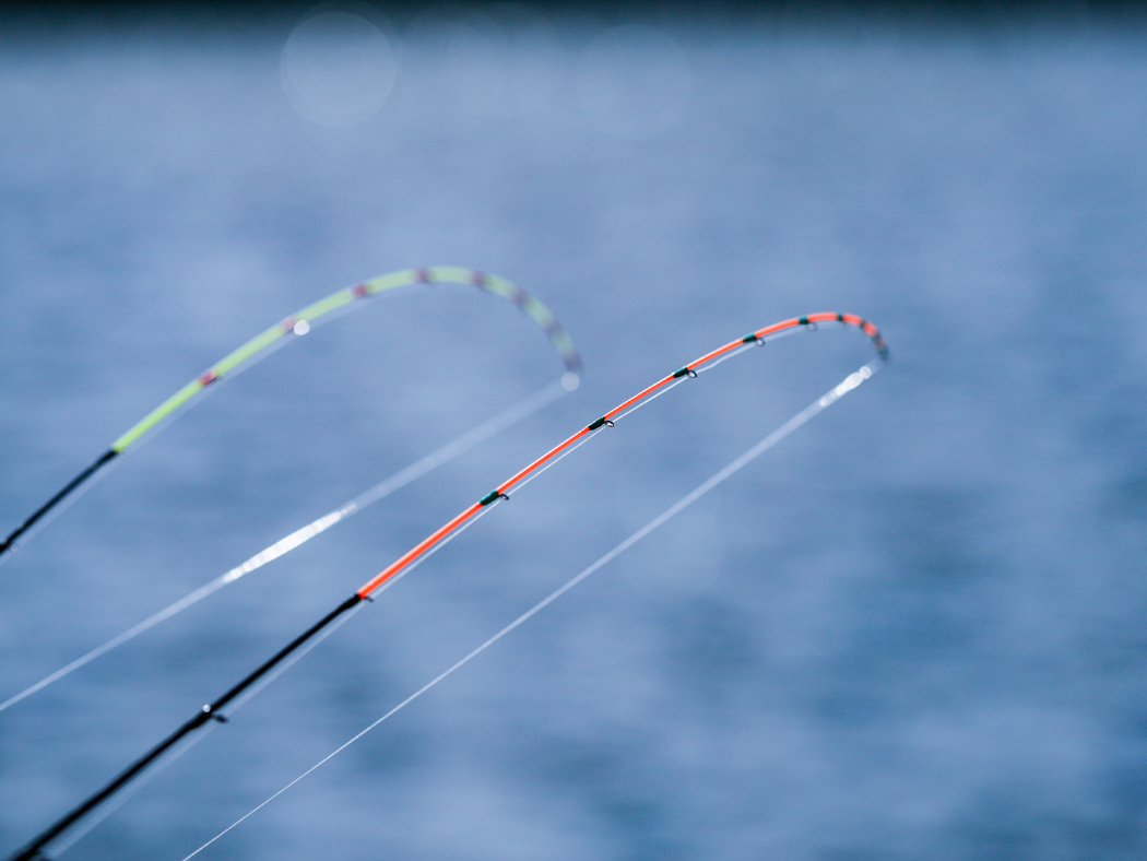 がまちぬ いかだ 競技ファインマスター | がまかつ