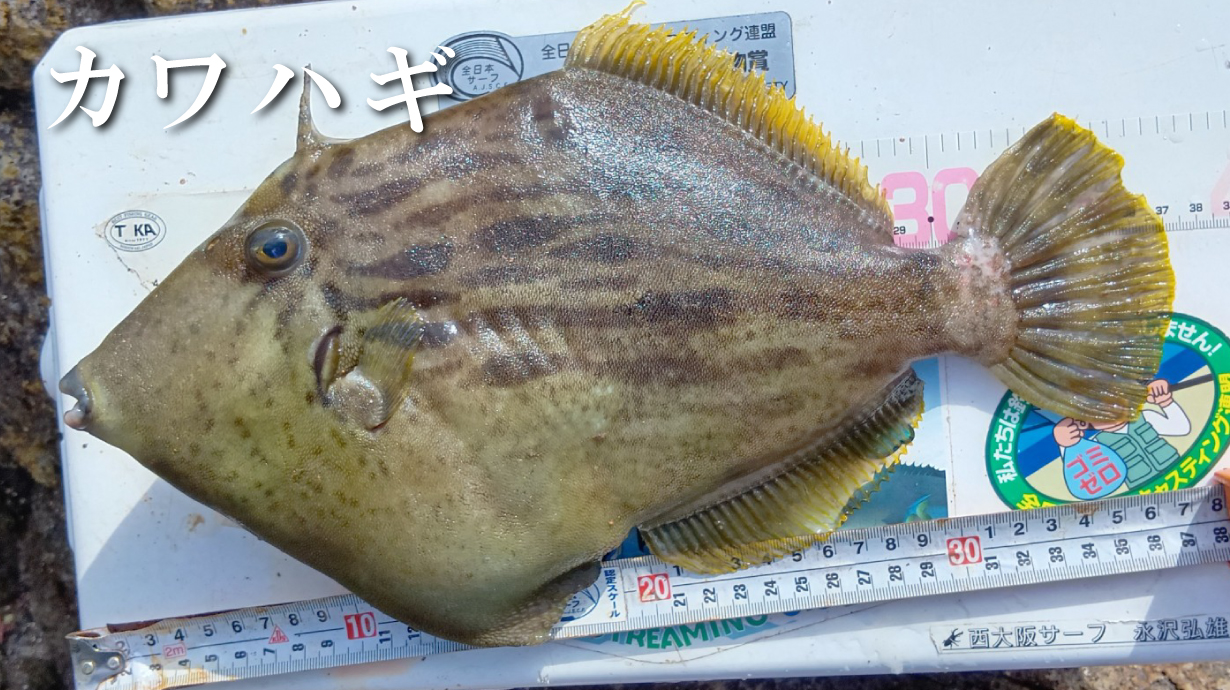 NO FLY ZONE(R) サマーライトジップフーディ GM3729 | がまかつ