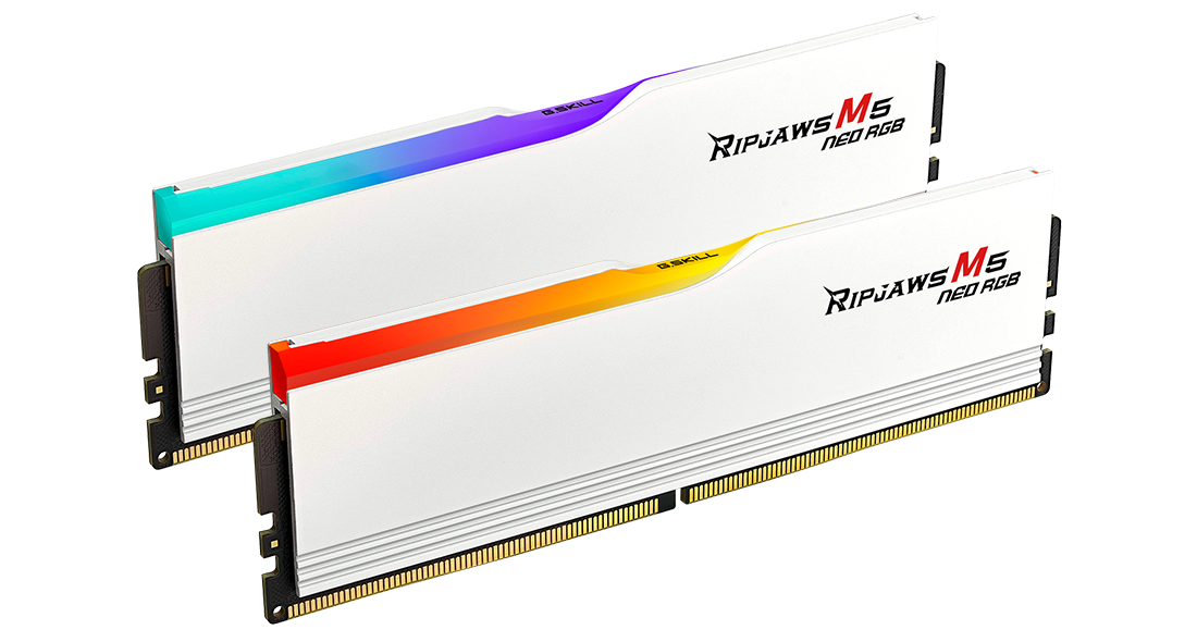 F5-6000J3636F16GX2-RM5NRW - Overview - G.SKILL International