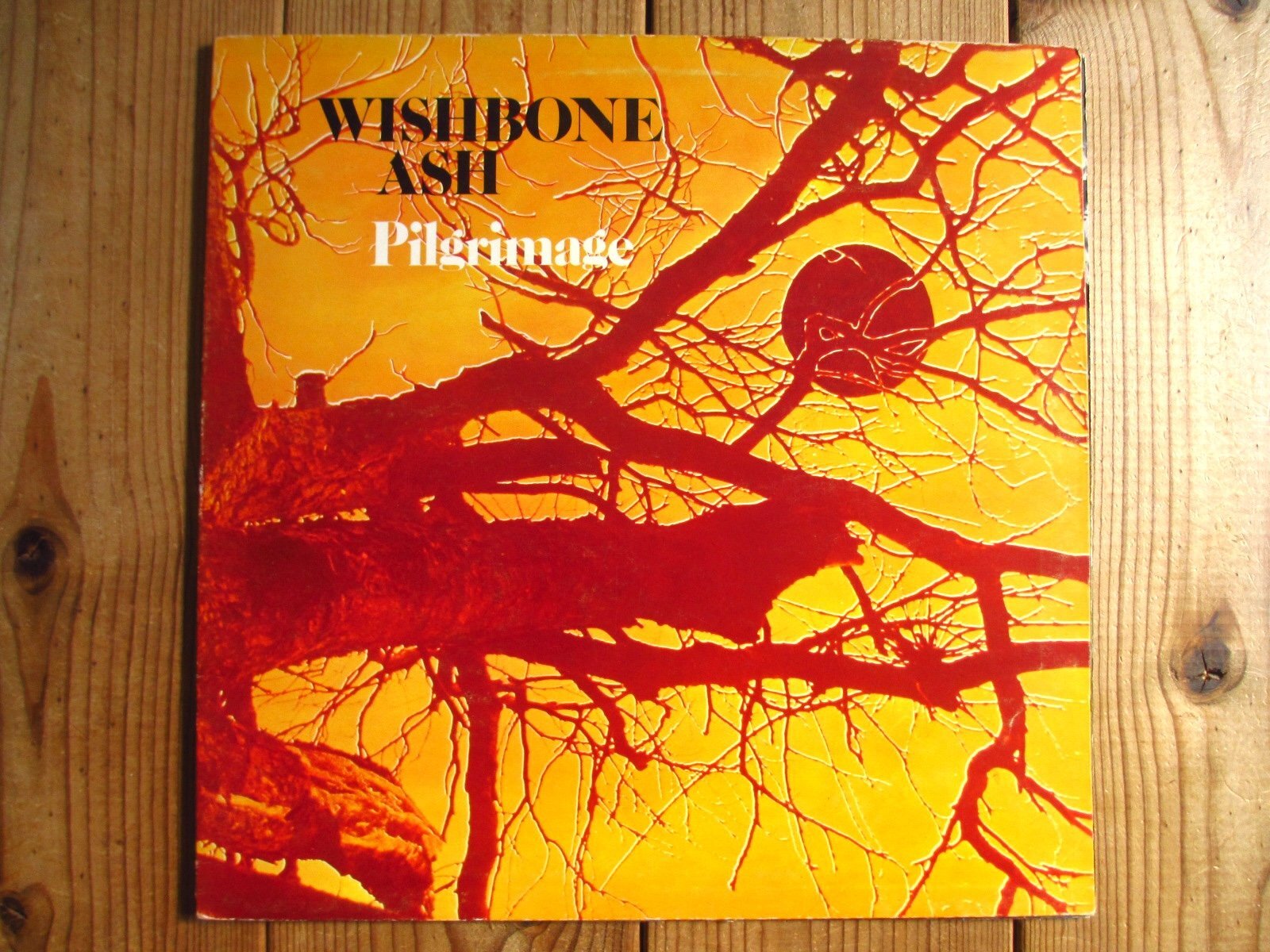Wishbone Ash / Pilgrimage - Guitar Records