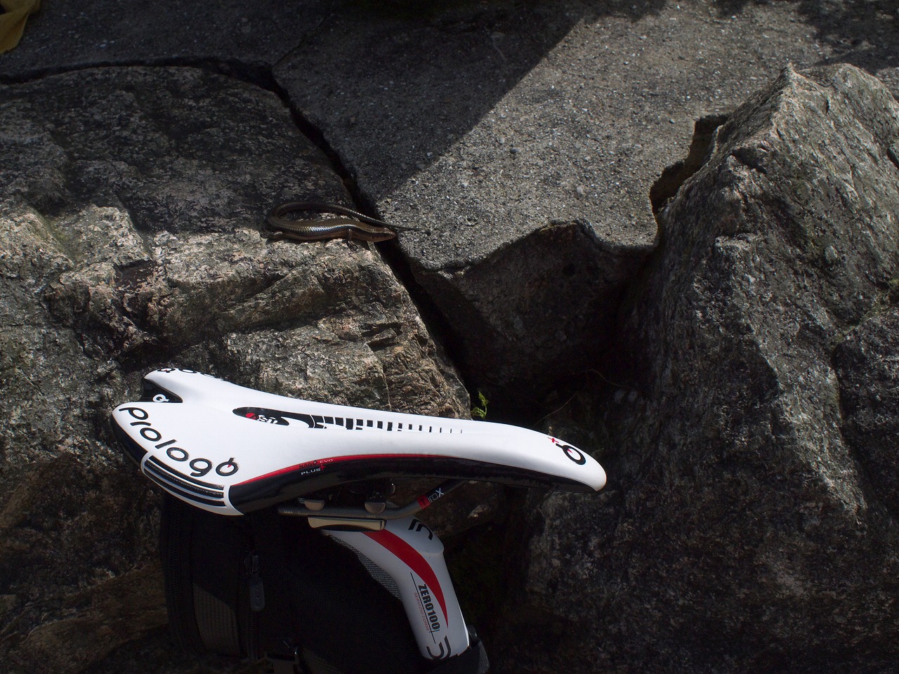 見た目もかっこいいサドル！「Prologo “NAGO EVO PLUS TiroX”」購入