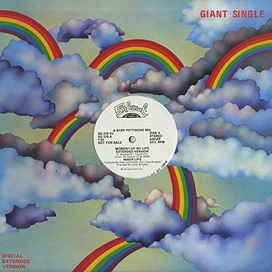 Inner Life / Moment Of My Life(Promo12inch) / Salsoul 1982 US