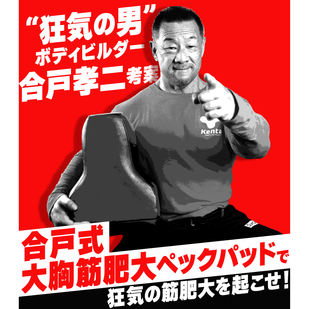 合戸式大胸筋肥大パッド（合戸孝二 開発）（ナーブス）-ジムガレージ