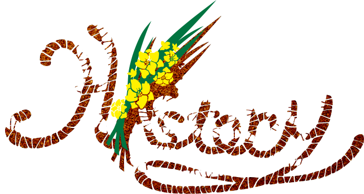 荒木宏文15th anniversary project 『History』 | - D-BOYS OFFICIAL