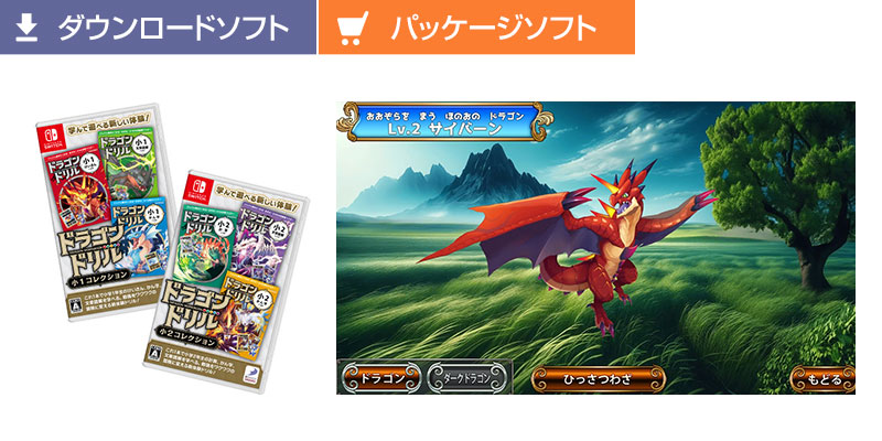 Nintendo Switch Games｜D3 PUBLISHER