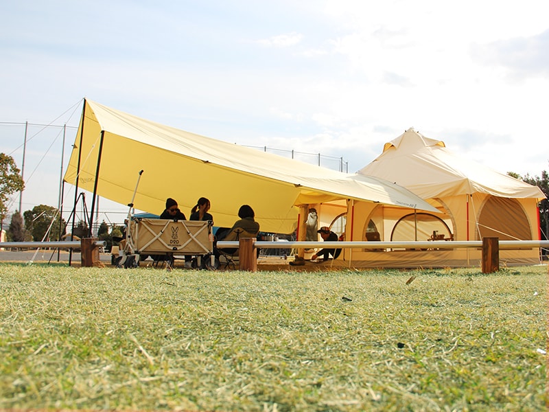 販売終了】タケノコテント用グランドシート GS8-496 - DOD（ディーオー