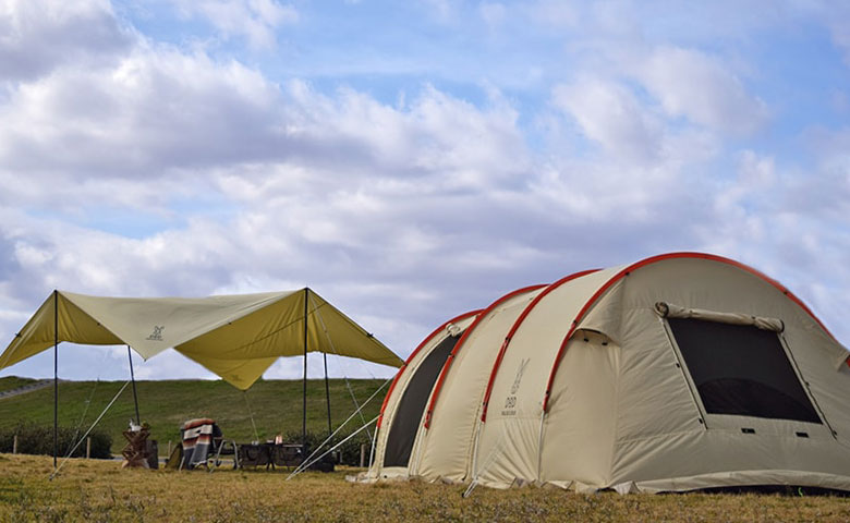 販売終了】チーズタープミニ（ベージュ） TT3-581-BG - DOD