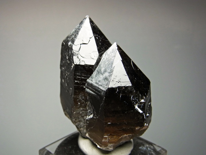 岐阜県蛭川田原産 煙水晶 (Smoky Quartz / Japan) - 鉱物標本販売店