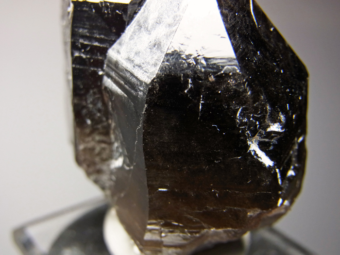 岐阜県蛭川田原産 煙水晶 (Smoky Quartz / Japan) - 鉱物標本販売店