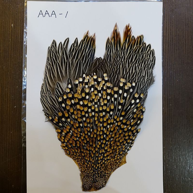 ジャングルコック AAA-1